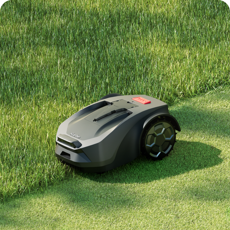 Custom Cut, Schedule Time