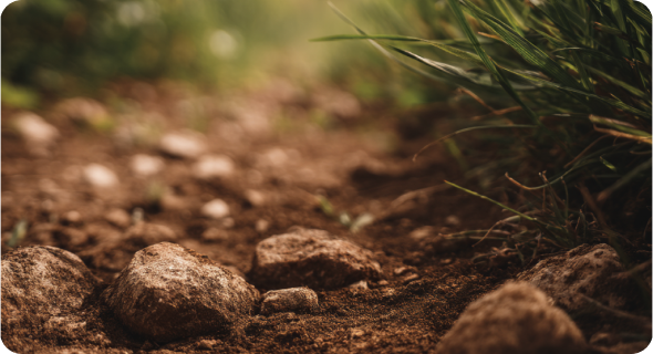 Confident on Rough Roads